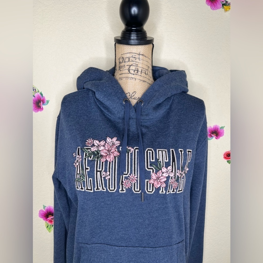 Aeropostale Embroidered Hooded Blue Gray Sweatshirt & Pants Size Large - Picture 3 of 16